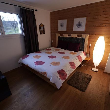 Libellules Apartman Villeneuve Kültér fotó